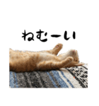 クレフとキキとノームたち Lineスタンプ Knyack22