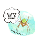 かわいい虫たちのメッセージスタンプ Lineスタンプ マッキー