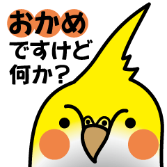 おかめいんこですけど何か？