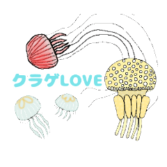 Lineスタンプ イラスト生き物図鑑 クラゲ編 16種類 1円