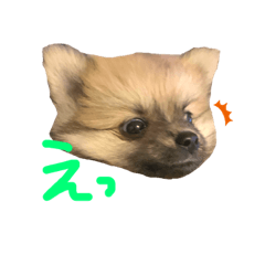 Lineスタンプ 子犬 の完全一覧 全1000種類