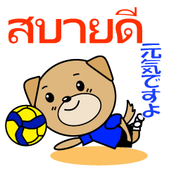 タイのバレーボール犬