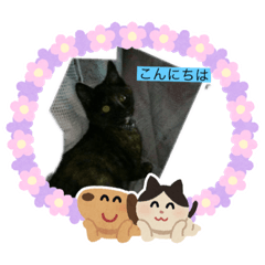 Lineスタンプ みぃ の完全一覧 全1000種類