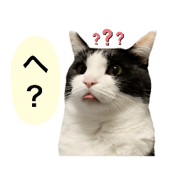 Lineスタンプ 白黒 の完全一覧 全1000種類