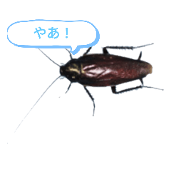 Lineスタンプ ゴキブリ の完全一覧 全8種類