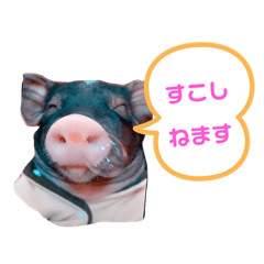 Lineスタンプ コブタ の完全一覧 全4種類