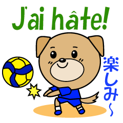 バレーボール犬 フランス語と日本語