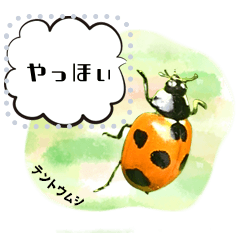 かわいい虫たちのメッセージスタンプ Lineスタンプ マッキー