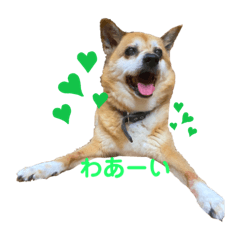 Lineスタンプ じい の完全一覧 全1000種類