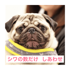 Lineスタンプ くさか動物病院シリーズ 8種類 1円