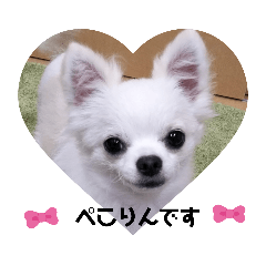 Lineスタンプ ペコリ の完全一覧 全299種類