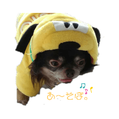 ロングチョコタンのイネーバさん Lineスタンプ Gon Ine