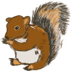 大人女子の栗鼠スタンプ 中国語 繁体 版 Lineスタンプ Sugar Monster