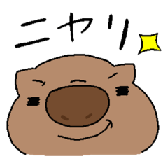 Yellow Parrot コバタンの英語スタンプ Lineスタンプ こんぺい