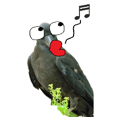 Lineスタンプ カラス の完全一覧 全659種類