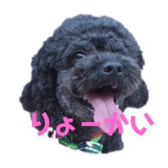 くろみつぅ Lineスタンプ みつぷ