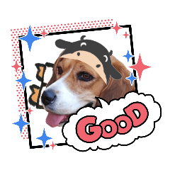 夏から秋へ いぬとも うちの犬猫 A Lineスタンプ A K