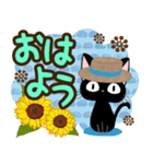 黒猫の気づかい大人スタンプ【夏〜残暑】（個別スタンプ：1）