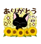 黒猫の気づかい大人スタンプ【夏〜残暑】（個別スタンプ：14）