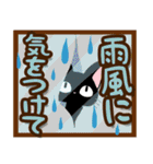 黒猫の気づかい大人スタンプ【夏〜残暑】（個別スタンプ：31）
