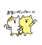 ゆるゆるニャンコの気づかいメッセージ（個別スタンプ：11）