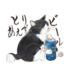 猫好きパーソンが毎日使えるスタンプ2（個別スタンプ：2）
