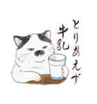 猫好きパーソンが毎日使えるスタンプ2（個別スタンプ：4）