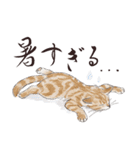 猫好きパーソンが毎日使えるスタンプ2（個別スタンプ：6）