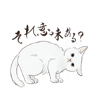 猫好きパーソンが毎日使えるスタンプ2（個別スタンプ：9）