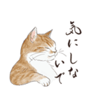 猫好きパーソンが毎日使えるスタンプ2（個別スタンプ：10）