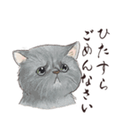 猫好きパーソンが毎日使えるスタンプ2（個別スタンプ：11）