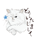 猫好きパーソンが毎日使えるスタンプ2（個別スタンプ：13）