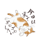 猫好きパーソンが毎日使えるスタンプ2（個別スタンプ：14）