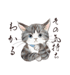 猫好きパーソンが毎日使えるスタンプ2（個別スタンプ：15）
