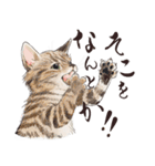 猫好きパーソンが毎日使えるスタンプ2（個別スタンプ：18）