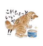 猫好きパーソンが毎日使えるスタンプ2（個別スタンプ：19）