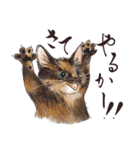 猫好きパーソンが毎日使えるスタンプ2（個別スタンプ：21）