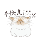猫好きパーソンが毎日使えるスタンプ2（個別スタンプ：22）