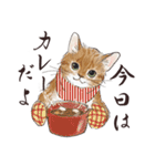 猫好きパーソンが毎日使えるスタンプ2（個別スタンプ：24）