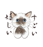 猫好きパーソンが毎日使えるスタンプ2（個別スタンプ：25）
