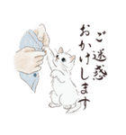 猫好きパーソンが毎日使えるスタンプ2（個別スタンプ：34）