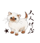 猫好きパーソンが毎日使えるスタンプ2（個別スタンプ：36）