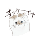 猫好きパーソンが毎日使えるスタンプ2（個別スタンプ：39）