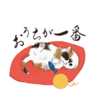 猫好きパーソンが毎日使えるスタンプ2（個別スタンプ：40）