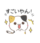 関西弁のみけねことパンダ（個別スタンプ：6）