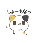 関西弁のみけねことパンダ（個別スタンプ：8）