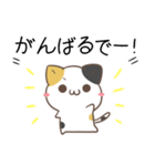 関西弁のみけねことパンダ（個別スタンプ：16）