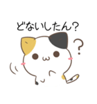 関西弁のみけねことパンダ（個別スタンプ：18）