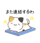 関西弁のみけねことパンダ（個別スタンプ：20）