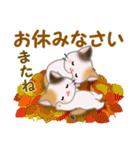 三毛猫ツインズ 秋の毎日（個別スタンプ：5）